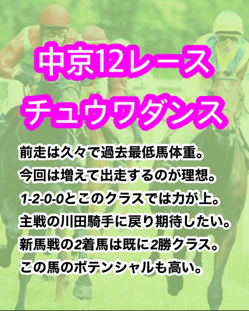 大外枠に入ってしまった
チュウワダンス…

それでも外差し馬場が味方してくれる！
はず
