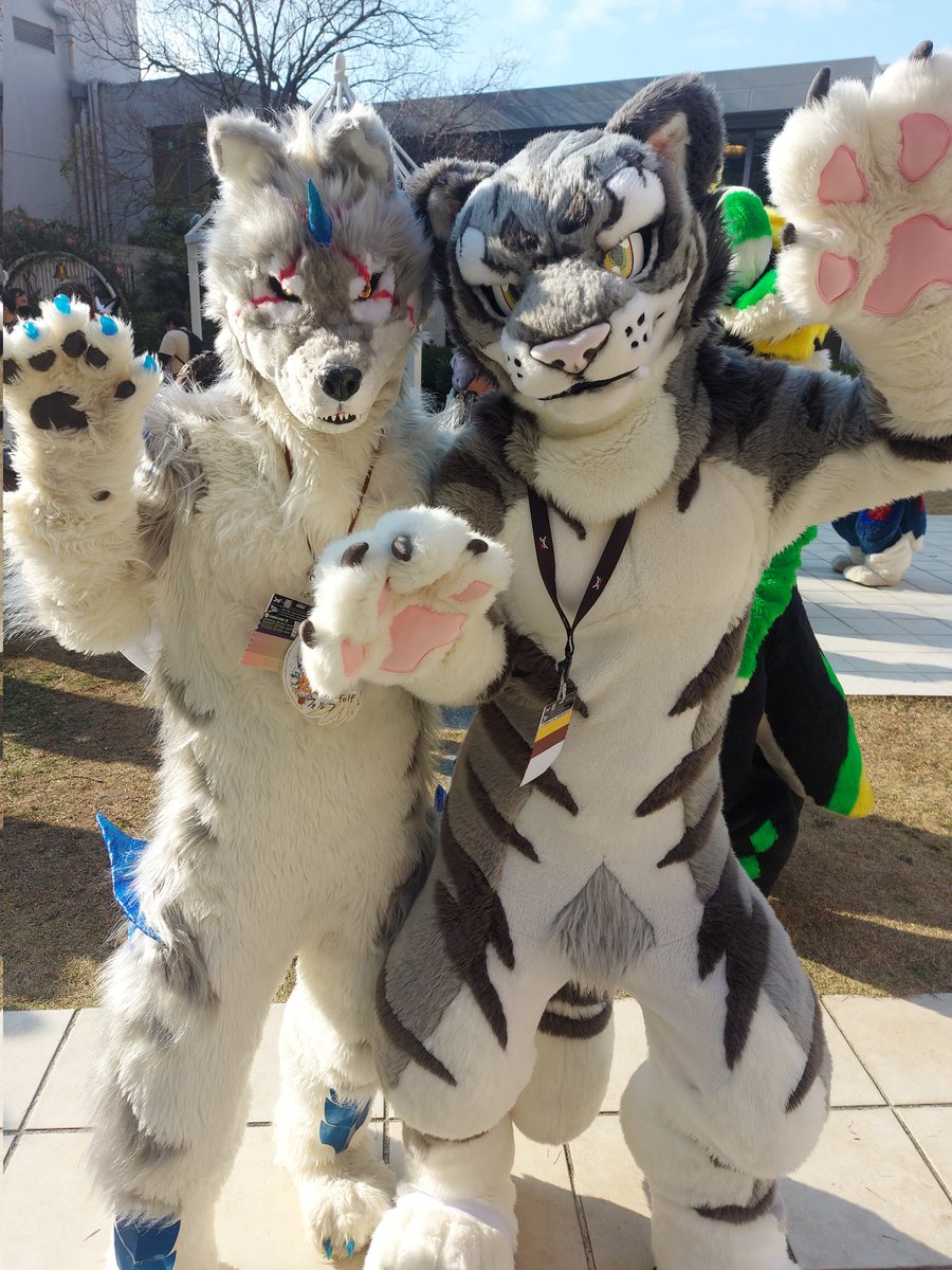Nurfa_Smilodon's tweet photo. 🐺 & 🐯
@FenrirSchwart
@tigersil37
#jomf #jomf2023 https://t.co/ZBDe7XvUar