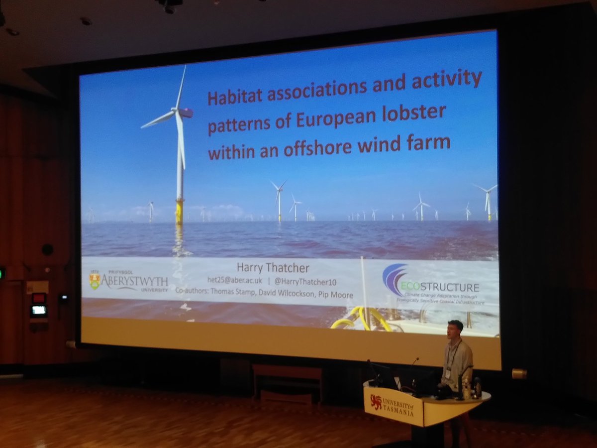 nora_mare's tweet image. Inhabitation of Welsh windfarms by tagged lobsters  @HarryThatcher10 #ITRS2023 🌬️🦞