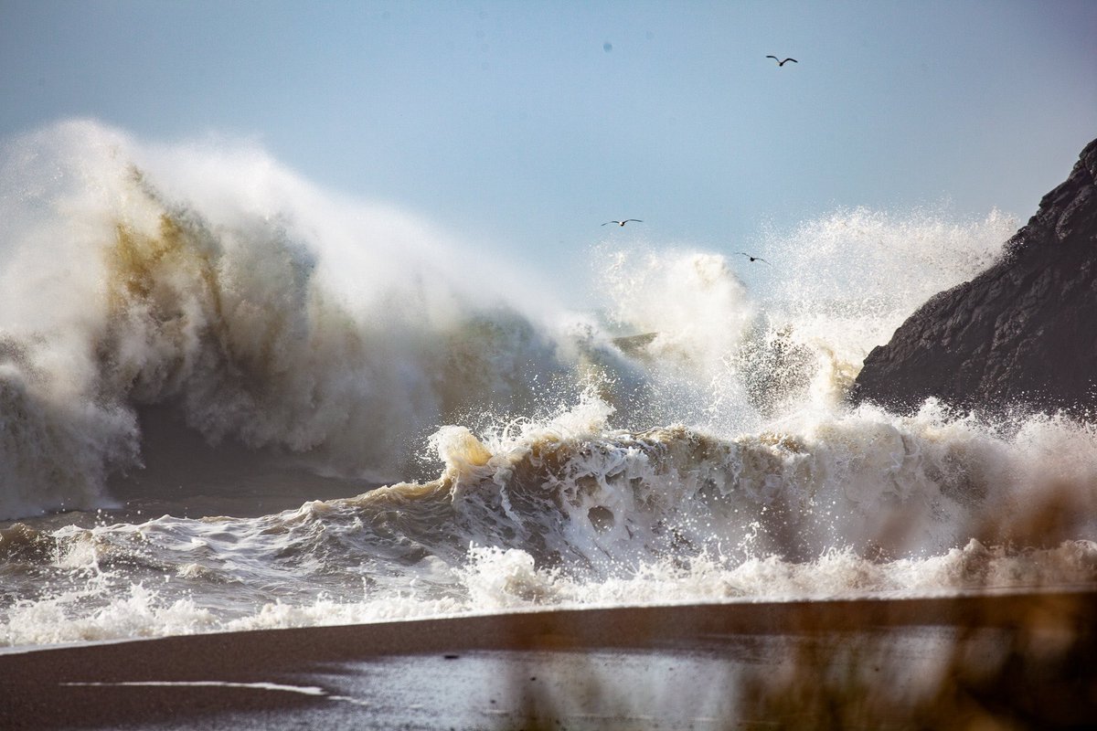 Natasha Benjamin tweet media