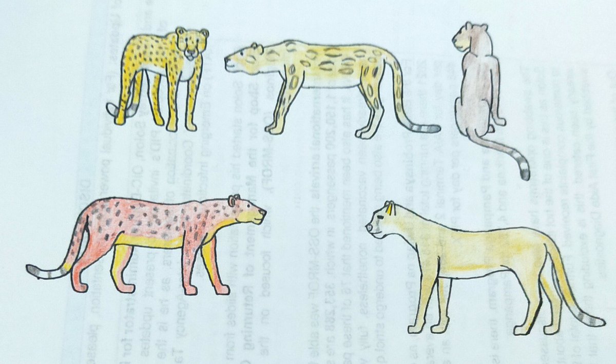 trmd350's tweet photo. Here's my drawings including humans on it. 

#Drawinghuman #Pleistocene #paleoart https://t.co/4ETMm5v3MN