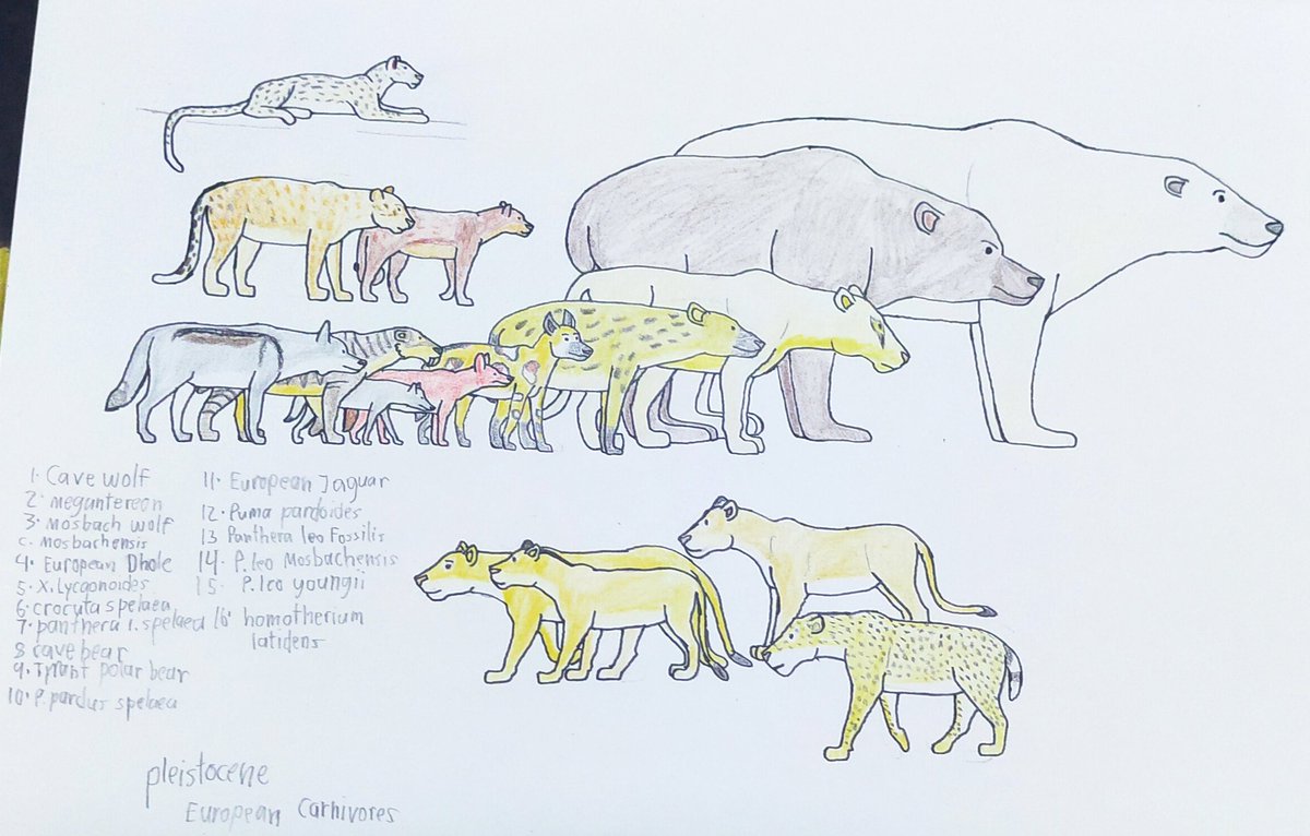trmd350's tweet photo. Here's my drawings including humans on it. 

#Drawinghuman #Pleistocene #paleoart https://t.co/4ETMm5v3MN