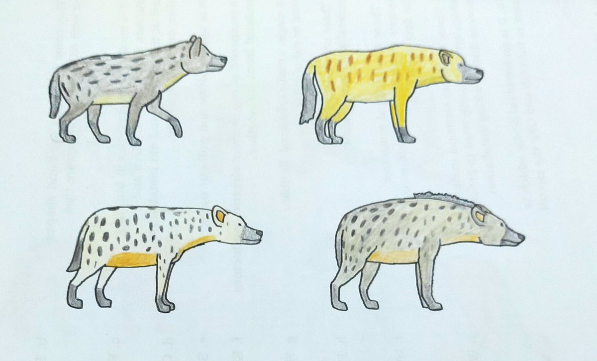 trmd350's tweet photo. Here's my drawings including humans on it. 

#Drawinghuman #Pleistocene #paleoart https://t.co/4ETMm5v3MN