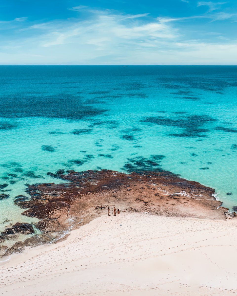 Aguia Studio (formerly Sky Perth) tweet media