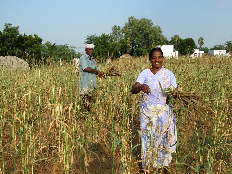 MSSRF (@mssrf) on Twitter photo MS Swaminathan's #WordsOfWisdom
Listen to <a href="/msswaminathan/">M S Swaminathan</a> reflect on challenges + opportunities for minor #millets in #India ▶️bit.ly/3ID9xdg
"It is the #synergy between #technology & #public #policy that make #progress possible."
#MSSRF_IYM2023 #IYM2023 <a href="/IYM2023/">International Year Of Millets 2023</a> MS Swaminathan's #WordsOfWisdom
Listen to <a href="/msswaminathan/">M S Swaminathan</a> reflect on challenges + opportunities for minor #millets in #India ▶️bit.ly/3ID9xdg
"It is the #synergy between #technology & #public #policy that make #progress possible."
#MSSRF_IYM2023 #IYM2023 <a href="/IYM2023/">International Year Of Millets 2023</a>