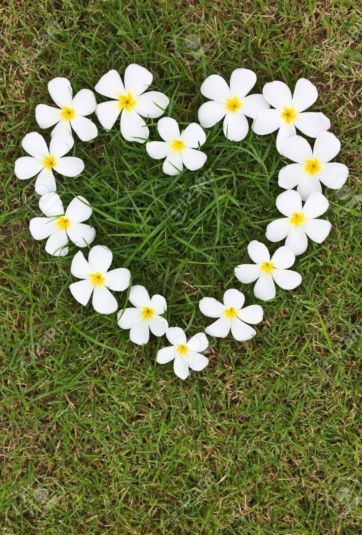 Good morning all you beautiful souls. Well Monday is here again....so this is a reminder that whatever happens you're strong, brave and beautiful. 
⚘️🥰🤗😘