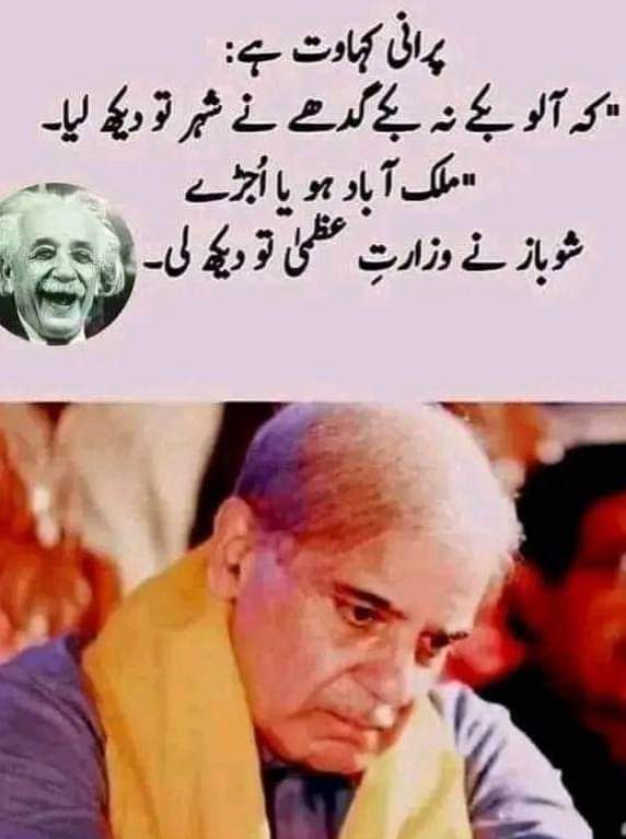 چور کا بچہ چور 🖐️🖐️