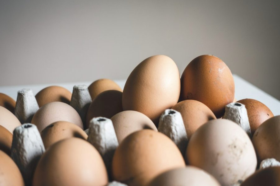 TiffDowell's tweet photo. The first case to interpret the TX Deceptive Trade Practices disaster price gouging provision involves agriculture...  Learn more on today's Texas Agriculture Law Blog post.

https://t.co/oqI8xZy20s

#aglaw #dtpa #pricegouging #texaslaw #eggproduction #agtwitter https://t.co/389roTLDHt