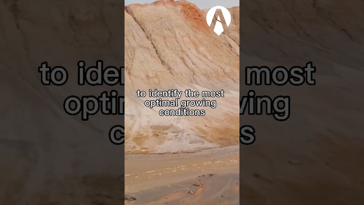 AllForGardening's tweet image. &quot;#AI and Agriculture: Boosting Crop Yields ...
 
#GeneralAI #NarrowAI #ytshorts #AIAdvancements #AIForGood
 
allforgardening.com/389714/ai-and-…