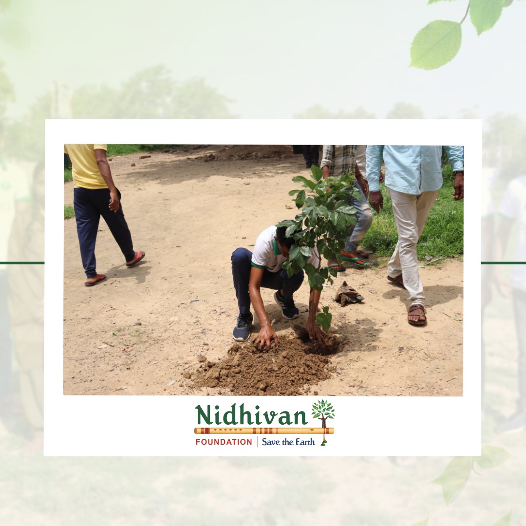 'Planting a tree is much better than wearing a mask to be safe from pollution.” . . . . . . #tree #trees #treeplanting #treeplantation #treeplanters #treelife #treeourlife #ngo #ngoindia #nidhivanfoundation #support #instagram #insta #treephotography #savetrees #saveearth