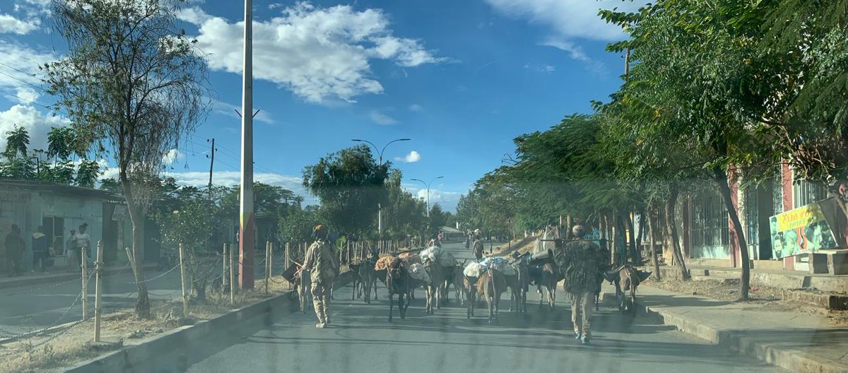 ProfKindeya's tweet photo. Recent pic of Eritrean troops at #Adwa town #Tigray with camels and donkeys looted from poeple. They do search houses &amp; take anything! The same is true in all other areas they have occupied. Heinous crimes continue unabated with impunity despite an agreement  #EritreaOutOfTigray https://t.co/y5bqiRqST6