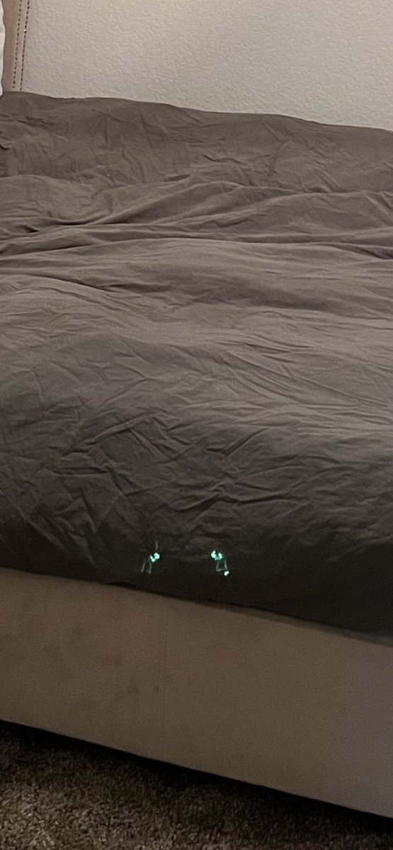 KatContii tweet media