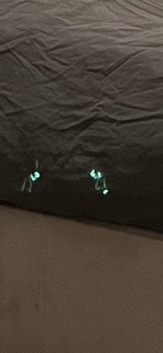 KatContii tweet media