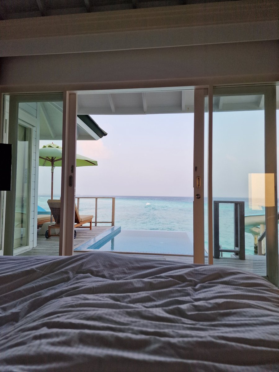 This place is insane 😍