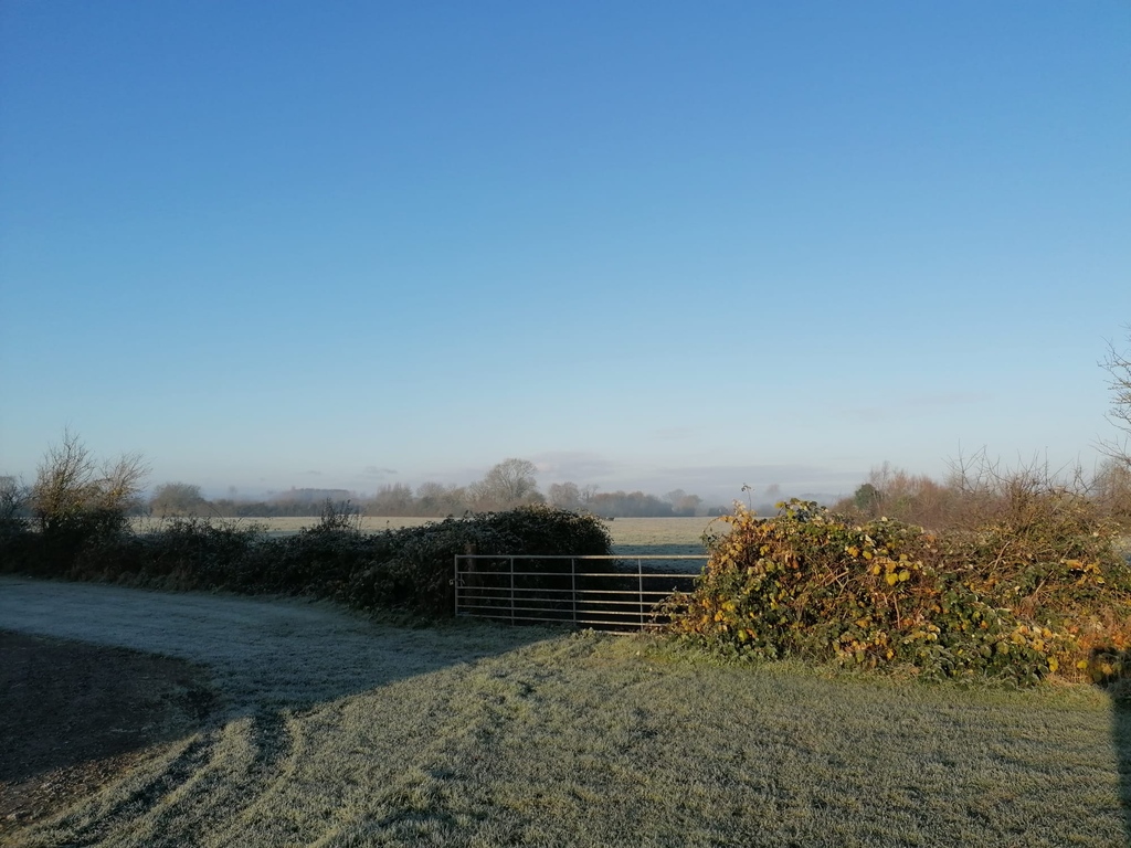 Good morning everyone, we are back to social media after our Christmas break, happy to be back with you and we hope you all had a nice peaceful Christmas break ❄️