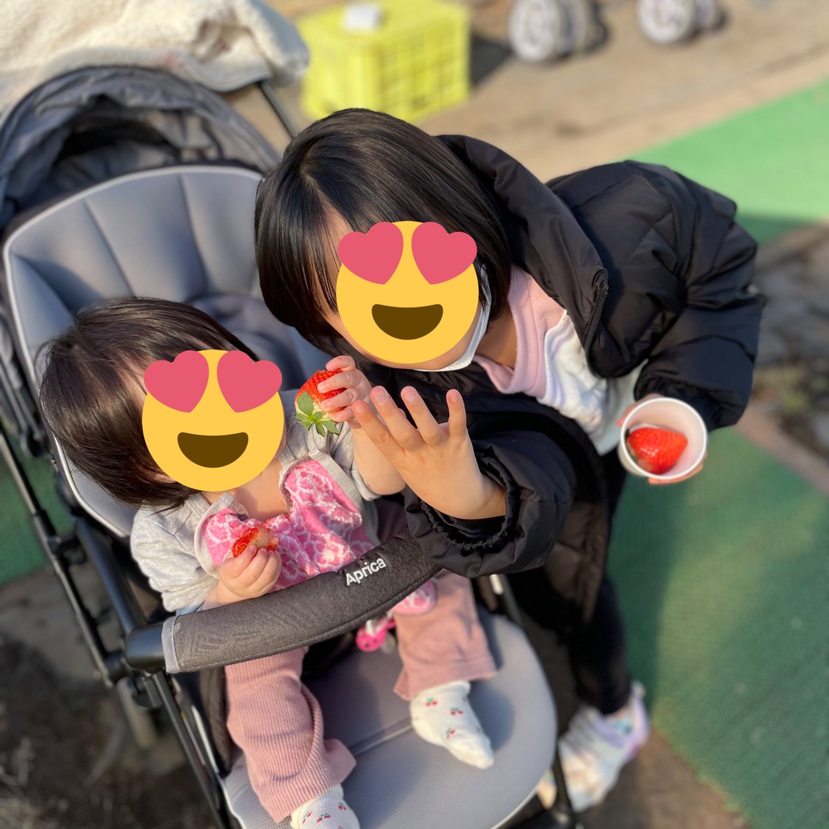 Chika_mama_'s tweet photo. 次女ちゃん初のいちご狩り💕
大好物のいちご🍓 https://t.co/EBMb73IWWc
