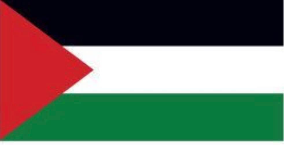 We will keep raising the Palestinian Flag in Public, @ltamarBengvir will never stop our love for our flag. One day PALESTINE will be FREE