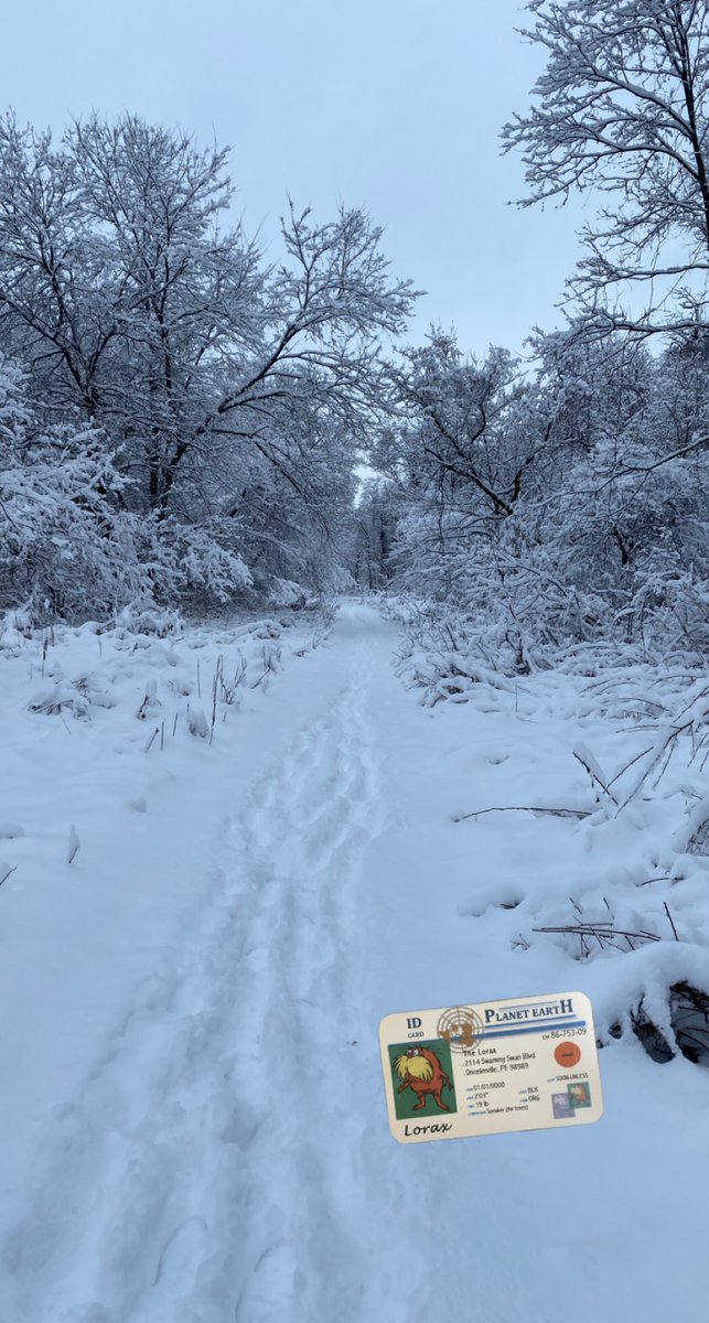 SczesnyZachary's tweet photo. After learning in class, I can now say this is a temperate forest biome that I walked by in Wisconsin. #apesco @franklinlorax https://t.co/nrJ0VcUkxG