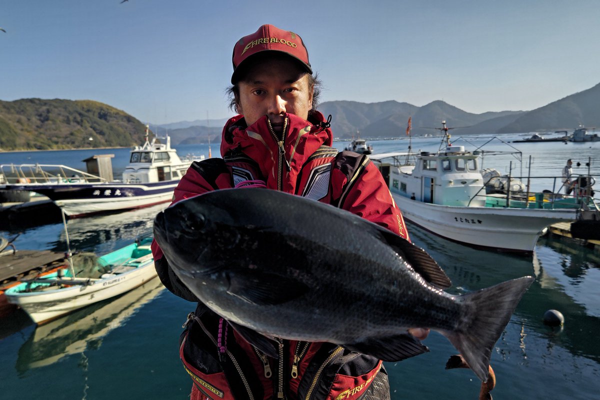EnjoyallLife's tweet photo. #宇和海 #御五神島
#口太グレ 42cm🐟
貴重な1尾だけの釣果でしたが、2023年最初のグレが40アップだったのは良き✨✨
#愛媛県宇和島
#磯釣り
#SHIMANO
#ファイアブラッド
#LIMITEDPRO https://t.co/UPtCahAWaw