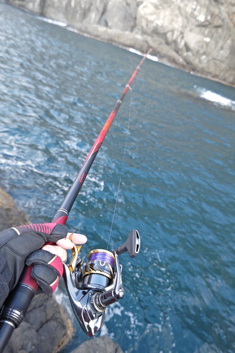 EnjoyallLife's tweet photo. #宇和海 #御五神島
#口太グレ 42cm🐟
貴重な1尾だけの釣果でしたが、2023年最初のグレが40アップだったのは良き✨✨
#愛媛県宇和島
#磯釣り
#SHIMANO
#ファイアブラッド
#LIMITEDPRO https://t.co/UPtCahAWaw