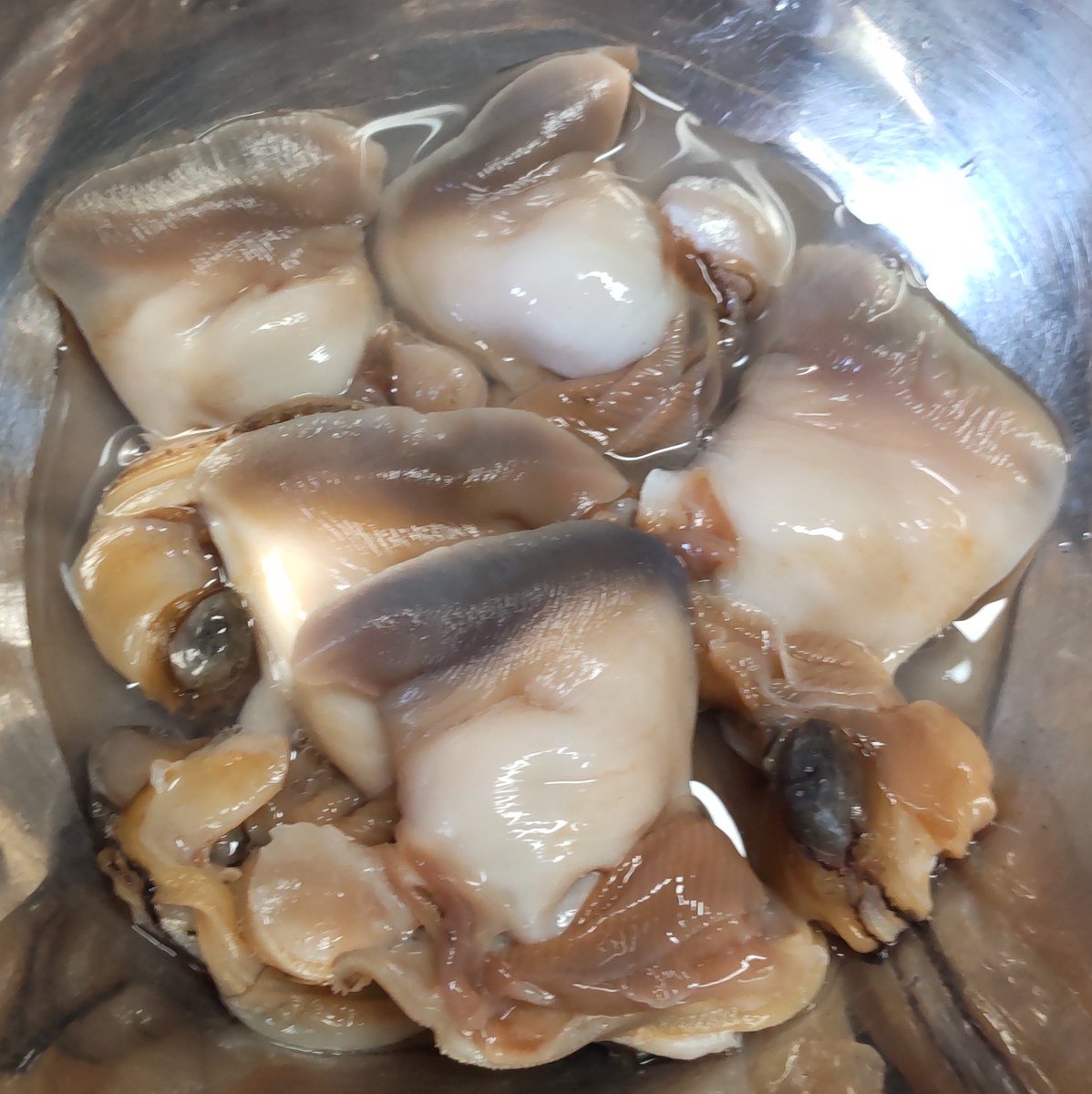 お知り合いの方が釣りに行って来たということで、魚(ソイとガヤ)とホッキ貝をいただきました😆
ホッキは早速殻を剥いて下準備。今夜は魚の煮付けとホッキのお刺し身や(⁠*⁠'⁠ω⁠`⁠*⁠) 