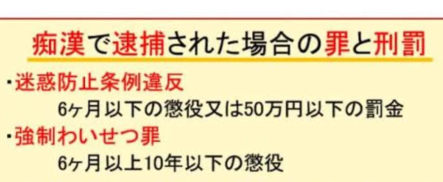 @ozoekkk 鉄道は駅内、車内のあちこちにこれを貼って、アナウンスもすべきだと思います。
誰も被害にあわないのが一番良いです。 