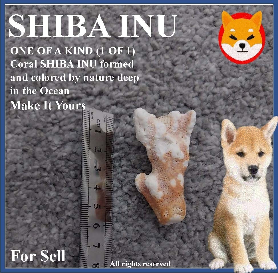 oneofakindever's tweet photo. CORAL - SHIBA INU
One of a kind ( 1 of 1 )
Coral Shiba Inu formed and colored naturally deep in the ocean.
Discovered in East Asia
a sign from Mother Earth
This makes a great collectible for anyone who Reads The Future and appreciates Rare items.
Up for Bid now
D.M to know more https://t.co/MeRc7CtKVq