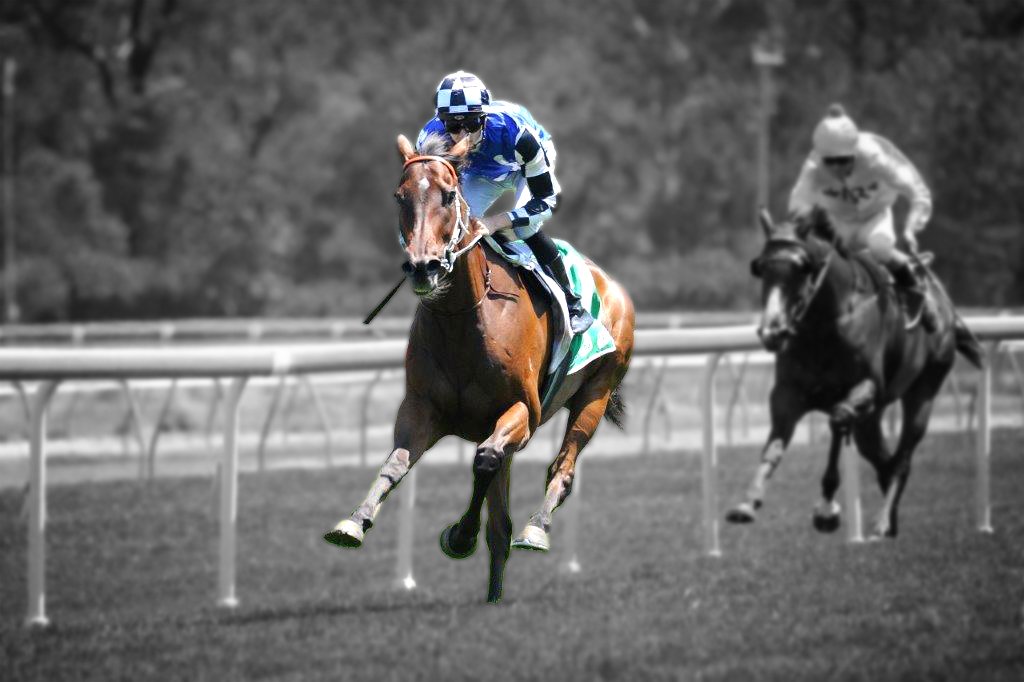 ausbloodstock2's tweet photo. HANDSOME (Kodiac x Victoria Montoya) in a 7 lengths demolition job 💪 https://t.co/V4yQ7tF9P2