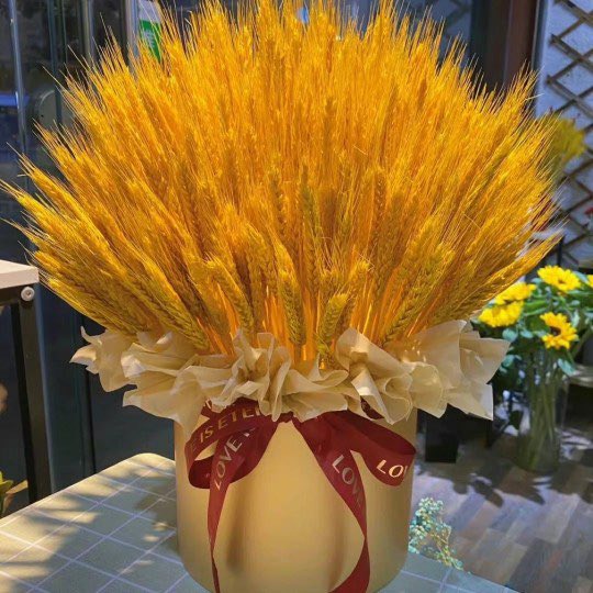 coolcoriander's tweet photo. #OurActorYibo has been working hard.
2023 is the year of harvest. https://t.co/74IEGu3L2Z