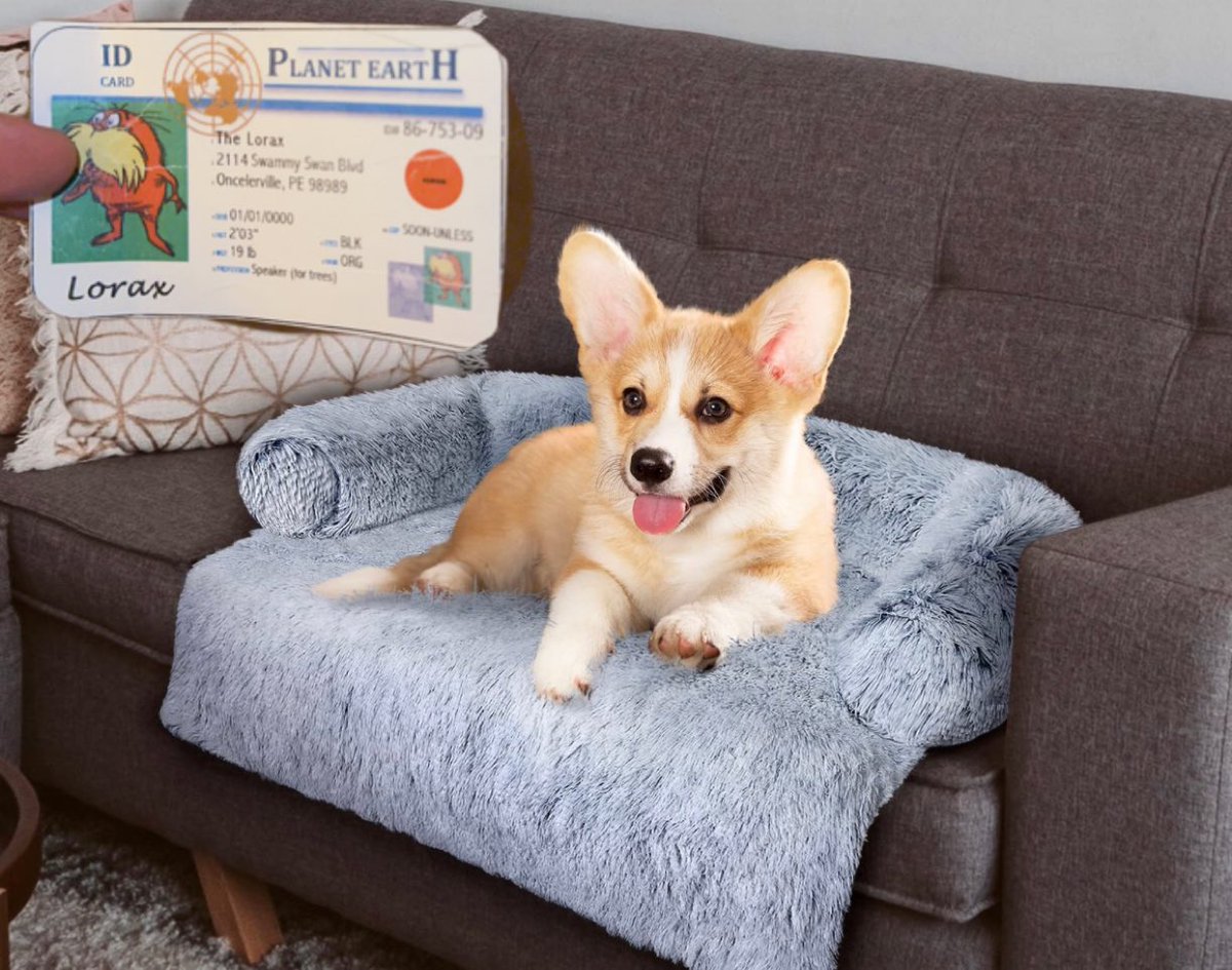 FHSxLorax1's tweet photo. This is my dog Mayonal, Mayonal is a k-strategist. This is because he has a longer life expectancy and produces only a few off spring. And he will take care of his offspring until they are able to care for themselves. @franklinlorax  #apeseco https://t.co/CVdRqF5d0o