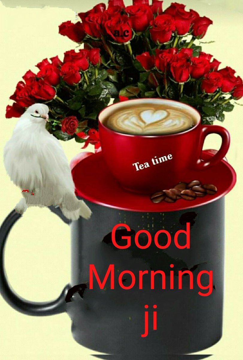 ZahiidAlii's tweet photo. @RupaSingh52 https://t.co/2zKWdtmVQp