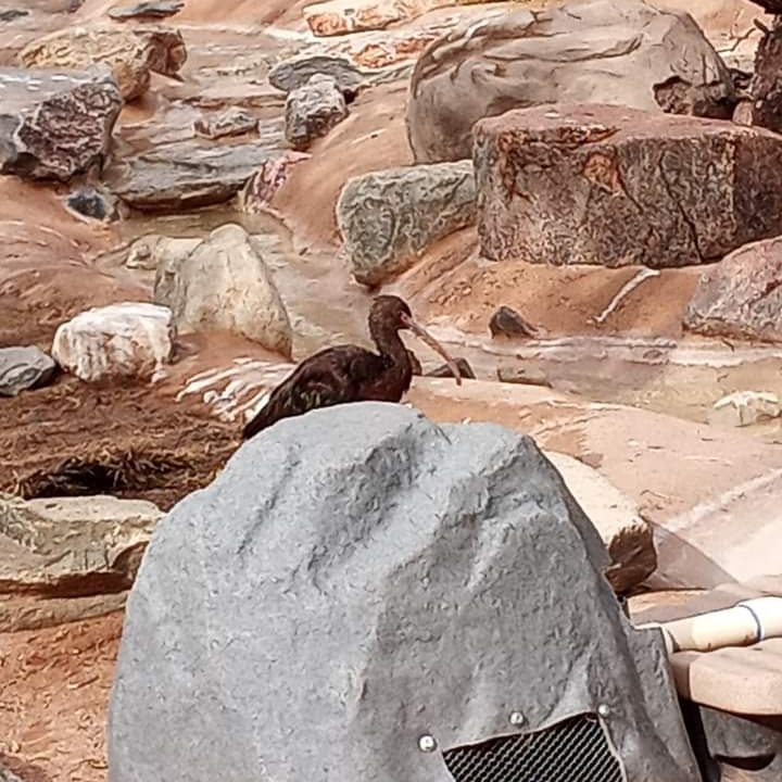 DrakeFowler18's tweet image. 