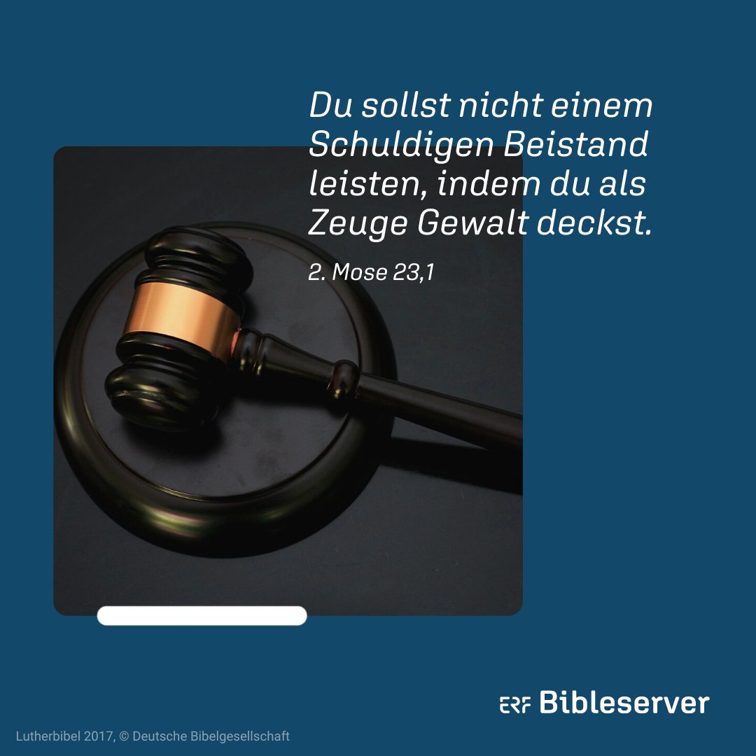 EFG Giessen (@efggiessen) on Twitter photo 