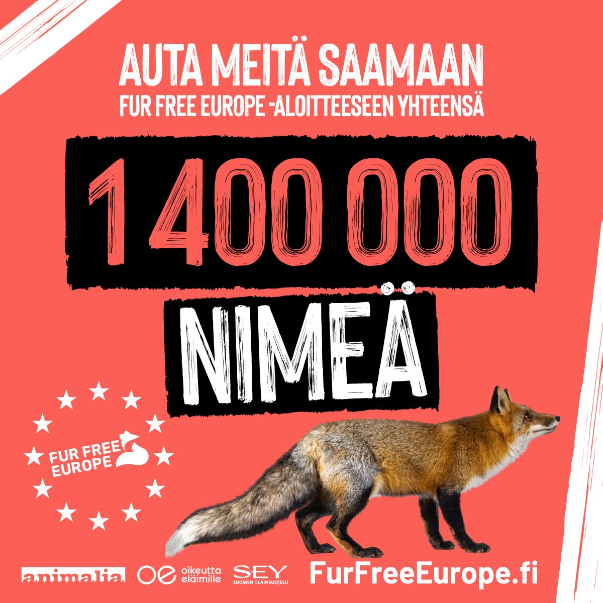 EU:n eläinten hyvinvointilainsäädännön prosessi on nyt kriittisessä vaiheessa, joten on tärkeää, että saamme kerättyä 1,4 miljoonaa nimeä Fur Free Europe -kansalaisaloitteeseen tammikuun aikana. Jokaisen jo allekirjoittaneen apu on tarpeen: jaa linkkiä furfreeeurope.fi ✍️