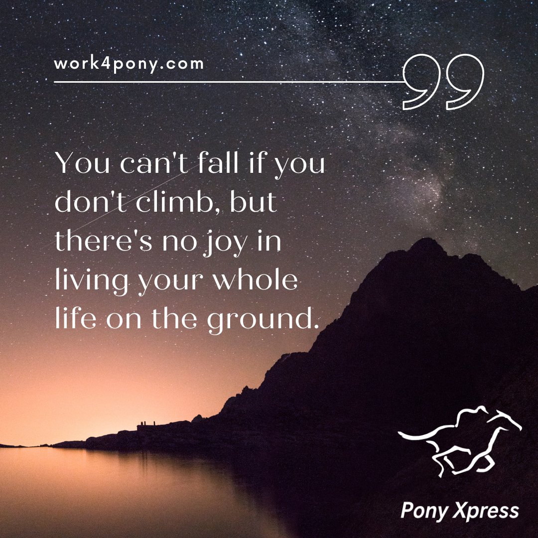 PonyXpressDlvry's tweet photo. Don't be afraid to chase your dreams this week!
#PonyXpressDelivery #Delivery #Driver #Linehaul #Cargo #SmallBusiness #FedEx #Amazon #Package #DriverJobs #Ohio #ColumbusOhio #ClevelandOhio #MotivationalMonday #Quote #quoteoftoday #quoteoftheweek https://t.co/N83WBCh8SM
