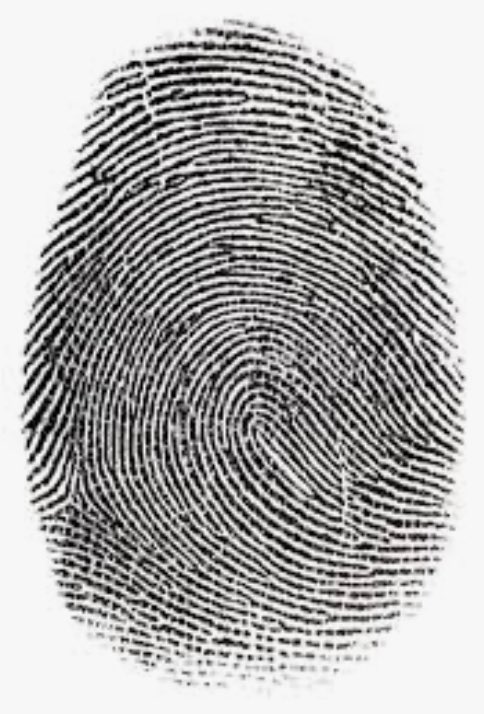 LeonoraPolice's tweet photo. CSI LeoPol have just charged one adult with Burglary after he was identified by fingerprints left at the scene 🔍 commit offences in our town at your risk because we will do all we can to catch you! #oneincustody #saferleonora #fb https://t.co/33hgYGYXYS