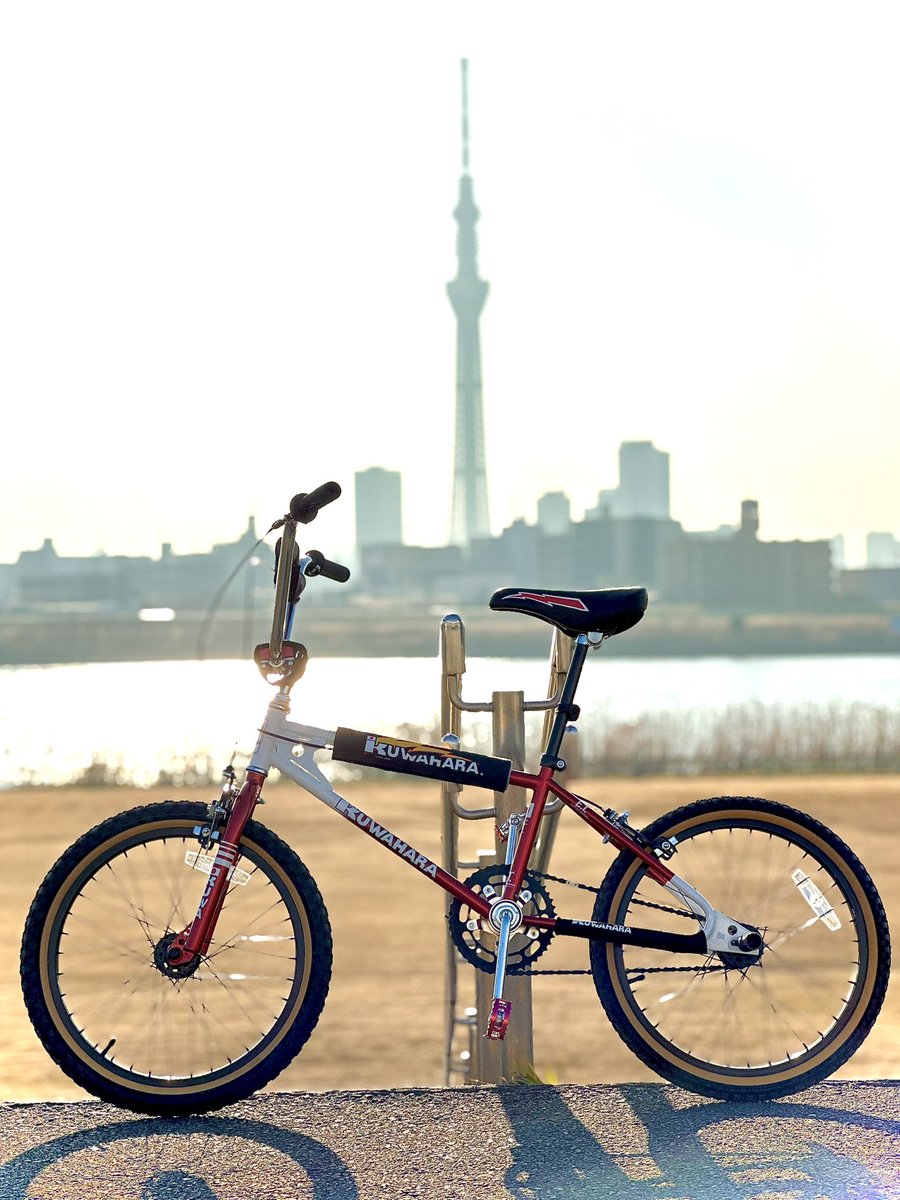picapixels's tweet photo. 散歩
#BMX #ET40th #kuwahara https://t.co/KKZudwTqt0