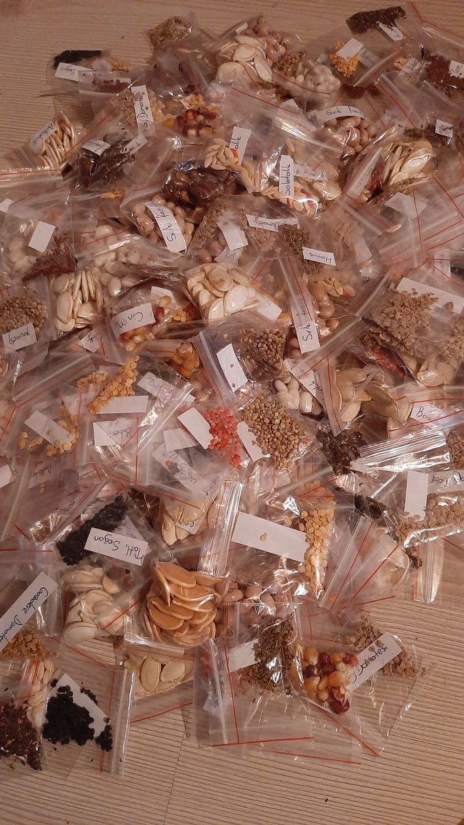 Tohumlarımız  geleceğine sahip çıkmak isteyen, çocuklarına miras olarak tohum bırakmak isteyen siz değerli tatipçilerimize gönderilmeye hazır.
Bol bol ekin ve çoğaltın diye biz tohumdan kısmadık.
Sizde gıdanızı ve geleceğinizi düşünüyorsanız, özelden iletişime geçin.