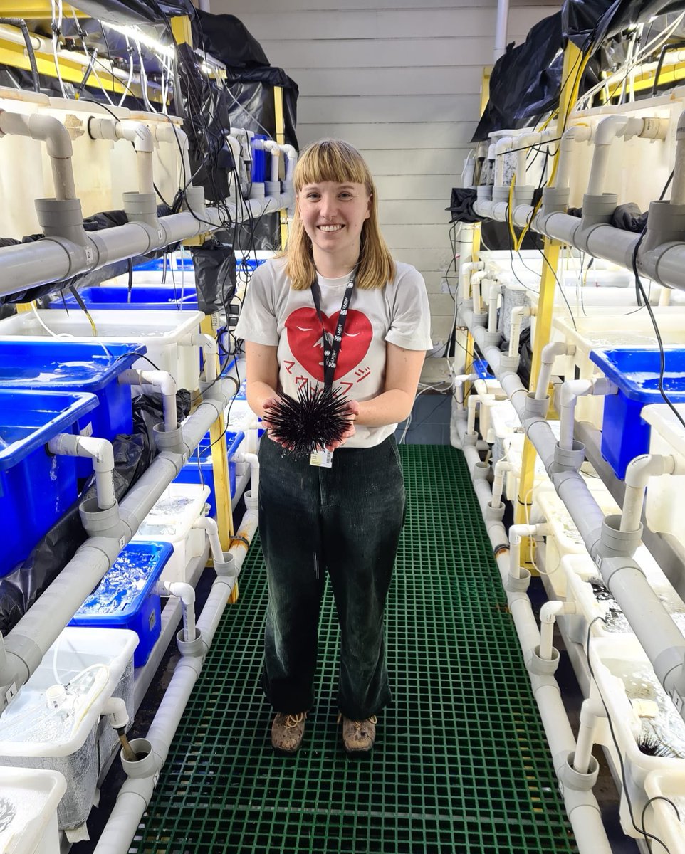 Hi #ITRS2023 ! I'll be presenting our work on the effects of artificial light at night and warming on sea urchin herbivory and behaviour tomorrow at 3.30pm in Stanley Burbery Theatre. See you there! 😊 Coauthors are @CariocaMayer <a href="/ProfMariaByrne/">Byrne lab</a> @ZiggyMarzinelli