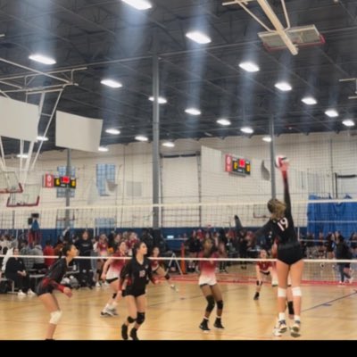 HalleBryce's tweet photo. #NewProfilePic https://t.co/iH12RJeljd