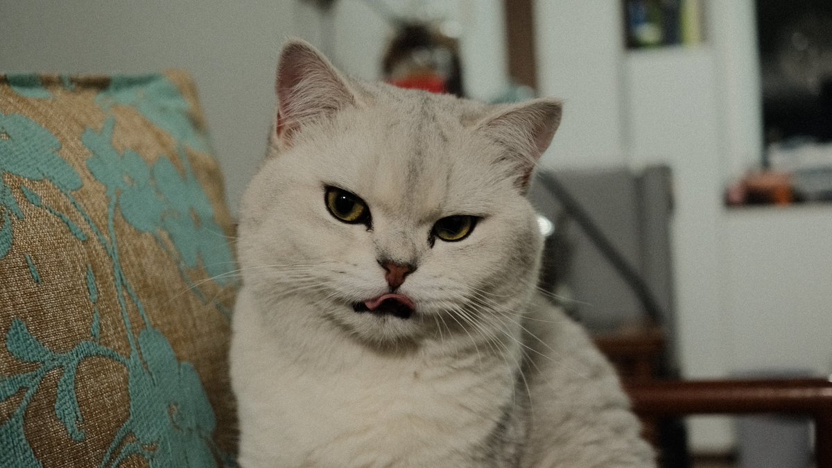 PinkR1ver's tweet photo. I use Fujifilm xe4 and 27f2.8 lens to take photos. Some pictures are clear in phone, but i will be tormented when i zoom them in computer. Is this a common problem for APS-C camera performance in big screen? https://t.co/vE2C5DOB73