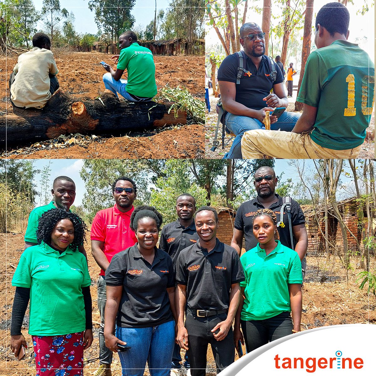 tangerinemoz's tweet photo. Após mais de um mês de recolha de dados nos distritos de N'khame, Angónia e Macanga, na província de Tete, para a Mozambique Leaf Tobacco, a Tangerine concluiu os serviços de pesquisa https://t.co/q6o2JrHntp

#research #marketing #fieldwork #pesquisa #tangerine https://t.co/czGQhrOBwI