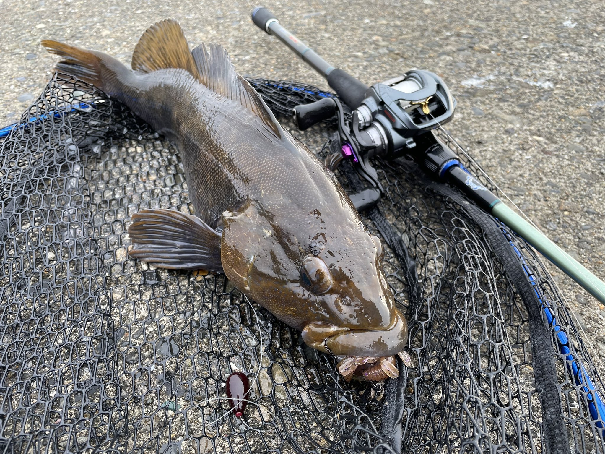 ロックフィッシュボトム パワーオーシャン RPO610MS2