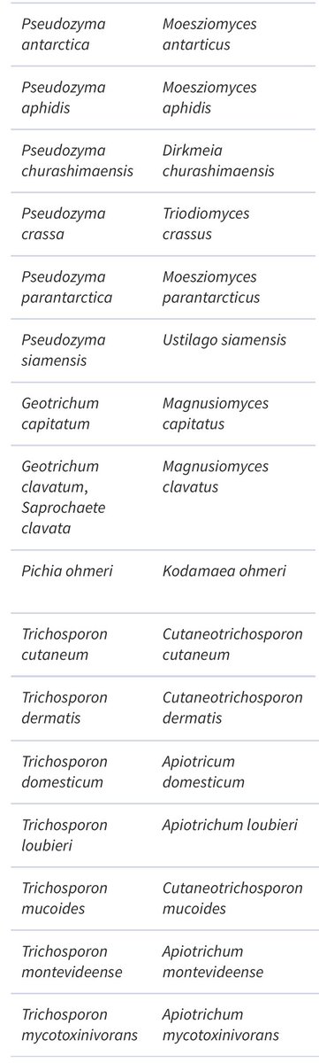 infeccHRUmalaga's tweet image. 🚨🚨Cambio nombre d algunas LEVADURAS🚨🚨Afecta a #Candida (principales 📸1) #Cryptococcus (no neoformans) #Pseudozyma, #Geotrichum, #Pichia y #Trichosporon. Algunos fáciles de reconocer: C. glabrata ➡️ Nakaseomyces glabrata 😊pero otros… C. krusei ➡️ Pichia kudriavzevii 😳🤯