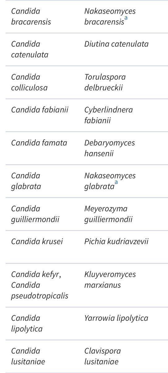 infeccHRUmalaga's tweet image. 🚨🚨Cambio nombre d algunas LEVADURAS🚨🚨Afecta a #Candida (principales 📸1) #Cryptococcus (no neoformans) #Pseudozyma, #Geotrichum, #Pichia y #Trichosporon. Algunos fáciles de reconocer: C. glabrata ➡️ Nakaseomyces glabrata 😊pero otros… C. krusei ➡️ Pichia kudriavzevii 😳🤯