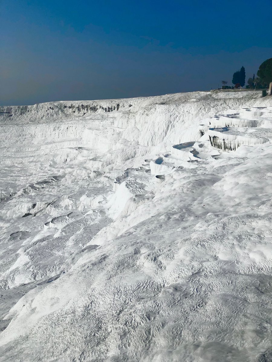 Haru@Webデザイナー tweet media