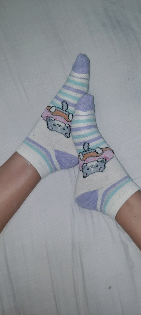 Feet_Xuuley's tweet photo. Miauuu https://t.co/aLLoHKsOL3