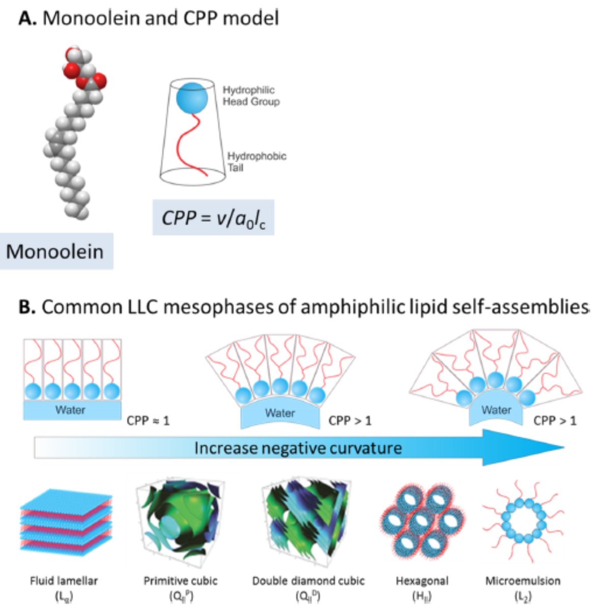 Molecules_MDPI's tweet photo. #HighlyCitedPaper #HighlyAccessedPaper
Novel Amphiphilic Block Copolymers for the Formation of Stimuli-Responsive Non-Lamellar Lipid Nanoparticles
By: Jiali Zhai, et al.
👉https://t.co/YHQPztJh4X
📌#monoolein #cubosome #RAFT #PDMAEMA #drugdelivery
@ChemMatSci_MDPI https://t.co/SyBoe84E2G