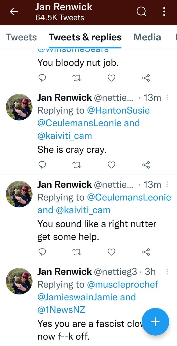 Spider Cat Safe And Effective On Twitter Hey TwitterSafety Why Is spider-cat-safe-and-effective-on-twitter-hey-twittersafety-why-is