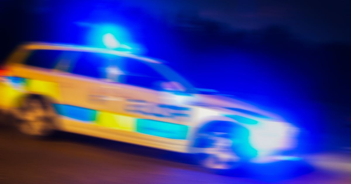 truckerworld's tweet photo. A collision between two lorries has forced the closure of the #A12 northbound this morning. The closure is between #Junction 25 at...
🔗 https://t.co/ni1HmjLaYh
#A1124 #A120 #Colchester #Essex #Green https://t.co/WGf5A5U32d